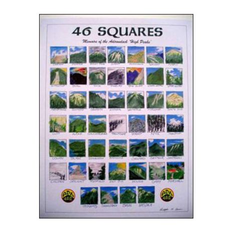 46 squares poster