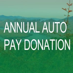 Annual Auto Pay Donation Subscription