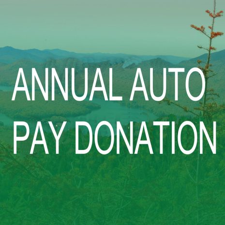 Annual Auto Pay Donation Subscription