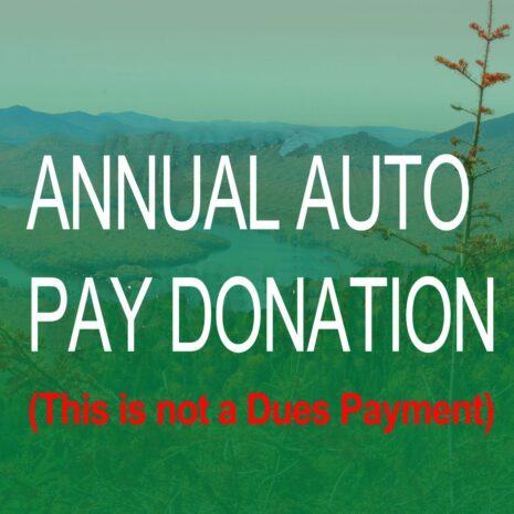 Annual Auto Pay Donation Subscription (not a dues payment)